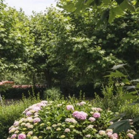 Mobil Avec Terrasse A - Api-1-52-463