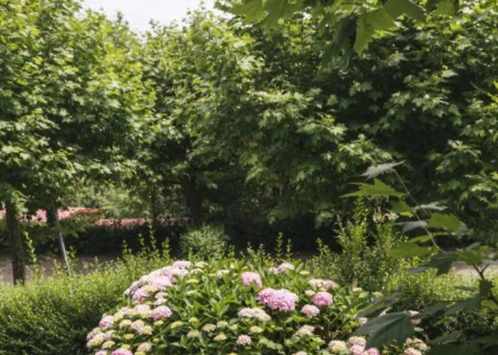 Mobil Avec Terrasse A - Api-1-52-463